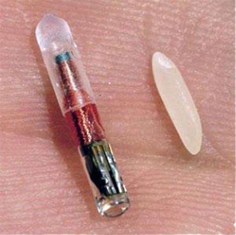 rfid chip in tweezers|rfid microchip uses.